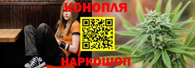 гашик Волгодонск